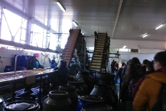 48358564_2381847031843821_8200880588719128576_n 48358564_2381847031843821_8200880588719128576_n